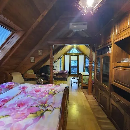 Pas Birute Guest house *