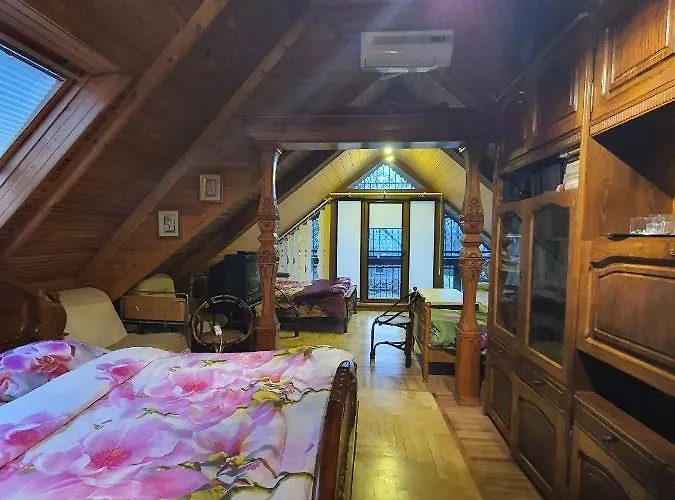 Pas Birute Guest house *