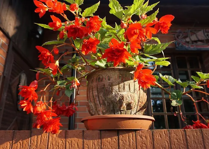 Guest house Pas Birute *