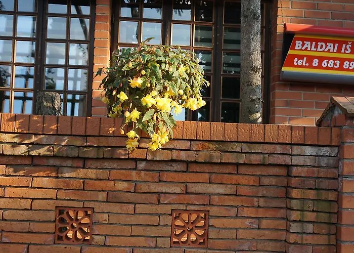 Guest house Pas Birute *